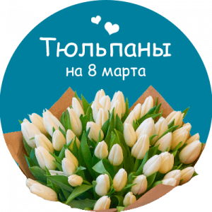 Купить тюльпаны в Боровичах